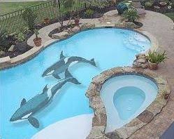 Underwater Murals In Swimming Pools Swimming Pools Pool Paint Pool