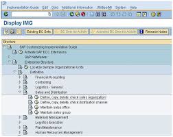 How To Map The Elements Of The Sap Sd Organizational