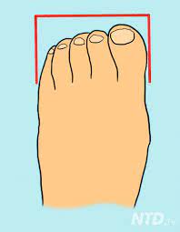 Here Are 13 Types Of Toes And The Fascinating Clues They Reveal About Your Personality