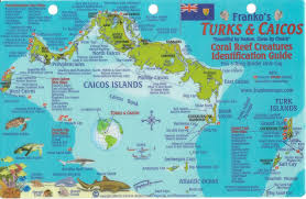Turks Caicos Dive Map Reef Creatures Guide Franko Maps