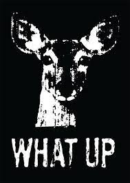 What Up Doe Detroit Michigan Tshirt 100 Cotton On Etsy 12 99 Michigan Tshirts Detroit Michigan Detroit