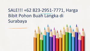Tanaman ini bisa berkembang baik di negara yang memili. Sale 62 823 2951 7771 Harga Bibit Pohon Buah Langka Di Surabaya By 62 823 2951 7771 Bibit Pohon Buah Langka Issuu