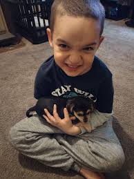 Adopted Ollie from Charming Pet Rescue 8 months ago