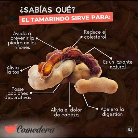 SABÍAS QUÉ? EL TAMARINDO SIRVE PARA 👇🏼 El tamarindo aporta diversos  beneficios para la salud, como prevenir enfermedades cardíacas, cuidar la  salud visual, fortalecer el sistema inmune y evitar el envejecimiento de