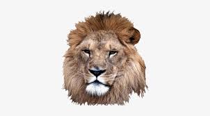 Roaring Lion Png Head Of A Lion Png Free Transparent Png Download Pngkey Find over 100+ of the best free roaring lion images. roaring lion png head of a lion png