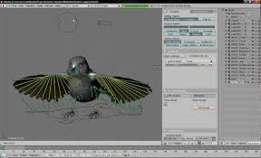This Is A Really Good Bird Rig With Wings That Can Fold Up And Tail That Fans Out Unfortunately No Tutorial But You C Bird How To Use Blender Blender Tutorial