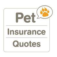 19 Best Insurance Info Images Pet Insurance Pet Health