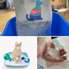 We did not find results for: Pretty Litter Vs Kitty Poo Club Comparison Happy Cat Corner
