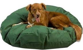 Snoozer Waterproof Round Pet Bed Small Brown 36 Inch Cedar Poly Filled Excellent For Outdoor Pets Or Pets W Waterproof Dog Bed Dog Pillow Bed Round Dog Bed