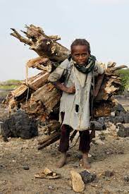 Today over 200 million children work , mostly in developing countries. Child Labour A Scourge That Must Be Eradicated Humanium