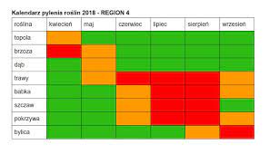 Kiedy pyli brzoza i trawa. Co Teraz Pyli Co Pyli W Czerwcu Trawy Babka Szczaw Pokrzywa Kalendarz Pylenia Roslin 2019 Czerwiec Dziennikzachodni Pl