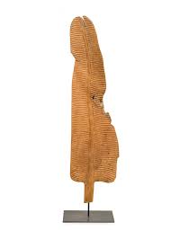 Image result for Monothecium