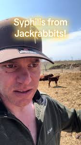 What Is Jack Rabbit Parents