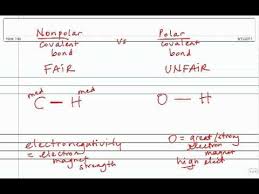 Polar Vs Nonpolar Covalent Bonds Covalent Bonding Molecular Biology Chemistry