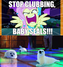 844103 Safe Edit Fluttershy Seal Baby Seals Clubbing Excessive Exclamation Marks Flutterrage Grammar Love Me Meme Nightclub Pun Punctuation You Re Going To Love Me Derpibooru