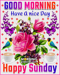 We did not find results for: 50 Good Morning Happy Sunday Images Morning Greetings Morning Quotes And Wishes Images