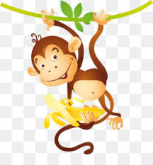 Monkey eating banana png, transparent png is a contributed png images in our community. Banana Clipart