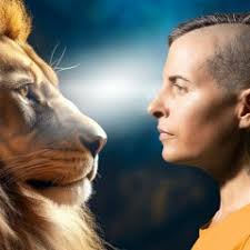 Stream Costa Rica Cloud Forest Night Chorus Near Small Stream with Gentle  Rain and Wind by Laura Giannone- Ebbtide Sound