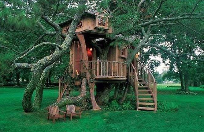 Mga resulta ng larawan para sa wierd tree house design"