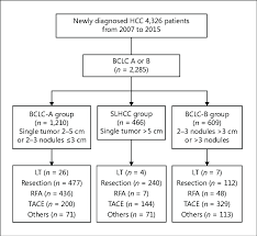 Study Flowchart Bclc Barcelona Clinic Liver Cancer Hcc