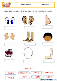 A crossword to practise body parts. Body Parts Online Exercise For Pre School