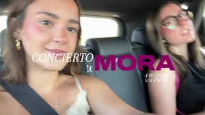 Deliciosas Moras y Uvas en Valencia