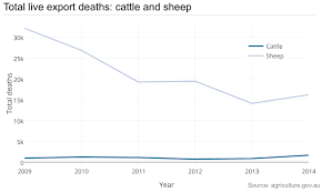 Animal abuse in malaysia statistic. Alive And Kicking Australia S Animal Export Trade Booms Despite Persistent Claims Of Cruelty Australia News The Guardian