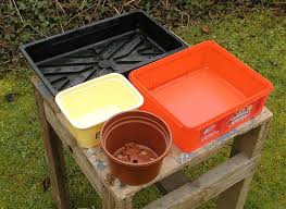 How to grow flowers from seeds in pots. How To Sow Seeds In 10 Easy Steps With Pictures Dengarden