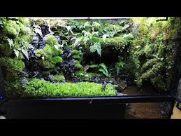 Pin On Paludarium