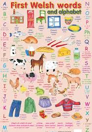 A Fun Place To Start French Language Lessons Learn French French Language