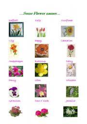 Common and botanical names of flowers listed alphabetically by their common name. All Types Of Flowers Names And Pictures Printables Flowers List