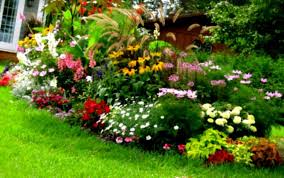 Front Yard Landscaping Ideas Zone 9 Home Dignity Sloped Garden Garden Ideas For Small Yards Front Yard Garden