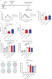 Eight vaccines are completing the third stage, including sputnik v. Live Vaccine Infection Burden Elicits Adaptive Humoral And Cellular Immunity Required To Prevent Zika Virus Infection Ebiomedicine