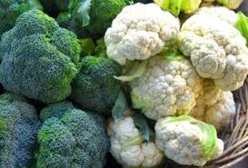 Namun, anda juga bisa memilih sayuran lainnya seperti brokoli, kembang kol, oyong. 10 Aneka Jenis Sayur Sayuran Hijau Paling Sehat Kaya Nutrisi