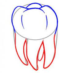 Zub není jen bílá dutá perlička. Kak Narisovat Zub Index Of Data Myworldmyspacemysecrets