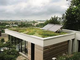 Grun Bedacht Dachbegrunung Dach Flachdach