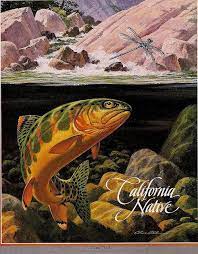 Charlie Allen S Blog Fly Fishing Art Trout Art Nature Prints