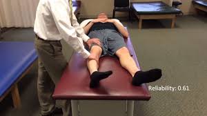 Image result for Log Roll Test