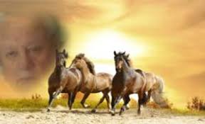 Walter Wolfe Obituary December 16, 2017