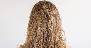 Hair can absorb up to 30 per cent of its own weight in water. How To Handle Stiff Hair For A Mane With Movement L Oreal Paris