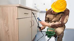 Are you looking for the best budget pest control services perth in affordable price. 3 Best Pest Control Companies In Perth Top Pest Control Companies