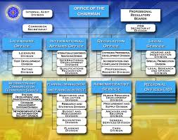 Prc Organizational Structure Professional Regulation