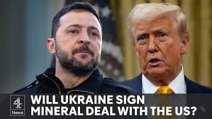 Lawyer Kitten Unwittingly Appears in Court