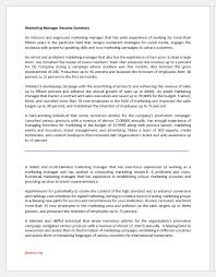 marketing manager resume summary