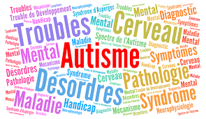 Transidentité et autisme (sacha n sacha). U1253 Syndrome Phelan Mcdermid Trouble De La Communication Ou Autisme