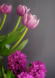 See more ideas about color, mauve color, mauve. Limewash Paint Colour Lab Mauve Purples Bauwerk Colour