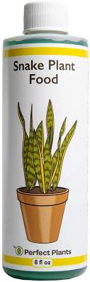 It was announced in 2008 and headed by dr. Amazon Com Perfect Plants Liquid Snake Plant Fertilizer 8oz Of Premium Concentrated Sansevieria Plant Food Use With Mother In Laws Tongue And Other Snake Plant Varieties Garden Outdoor