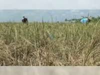 Gangguan tersebut mengakibatkan pemadaman listrik di sebagian wilayah jakarta barat, jakarta selatan, jakarta. 2020 Di Bojonegoro Telah Terjadi 16 Kasus Orang Tersengat Listrik Korban Jiwa 18 Orang Beritabojonegoro Com