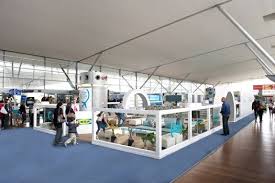 Ikea Opens Vip Airport Lounge Complete With Beds For Napping Ikea Lounge Ikea France Airport Lounge