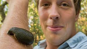 Home » video's » freek vonk. Rap Van Freek Vonk Onder De Loep Het Is Een Lekker Nummertje Omroep West